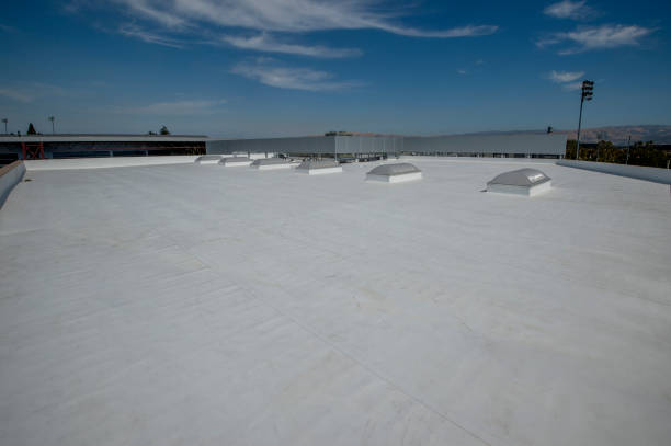 Best Asphalt Shingle Roofing  in Freemansburg, PA