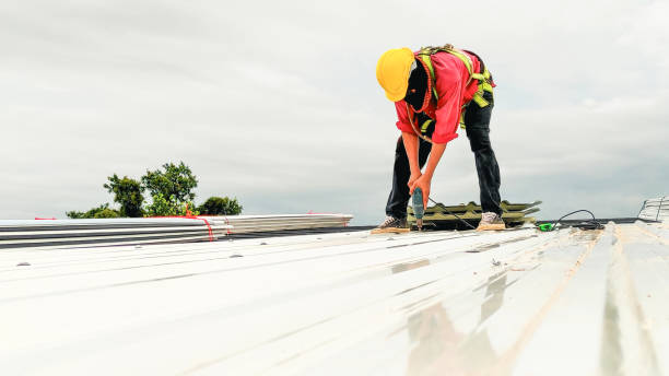 Best Roof Maintenance and Cleaning  in Freemansburg, PA