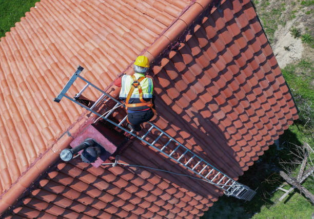 Best Flat Roofing  in Freemansburg, PA