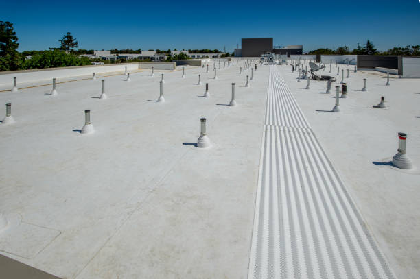 Best Steel Roofing  in Freemansburg, PA